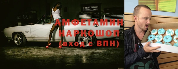 ГАЛЛЮЦИНОГЕННЫЕ ГРИБЫ Богданович