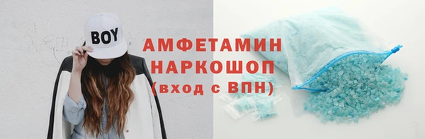 ГАЛЛЮЦИНОГЕННЫЕ ГРИБЫ Богданович