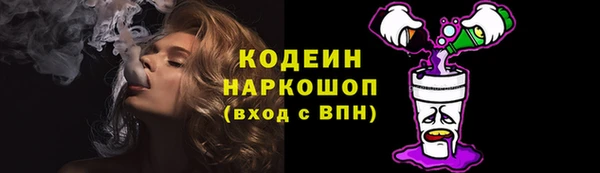 ГАЛЛЮЦИНОГЕННЫЕ ГРИБЫ Богданович
