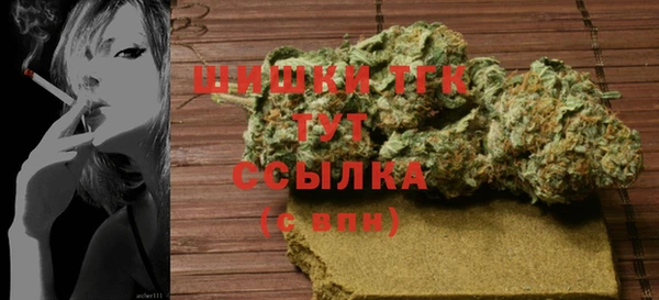 ГАЛЛЮЦИНОГЕННЫЕ ГРИБЫ Богданович