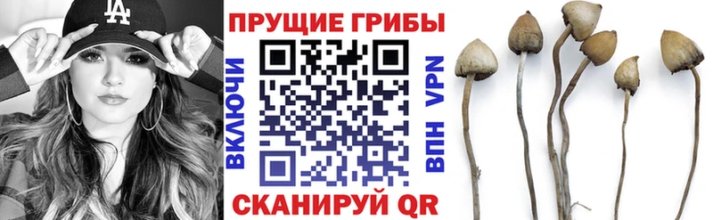 как найти   Велиж  Галлюциногенные грибы мухоморы 